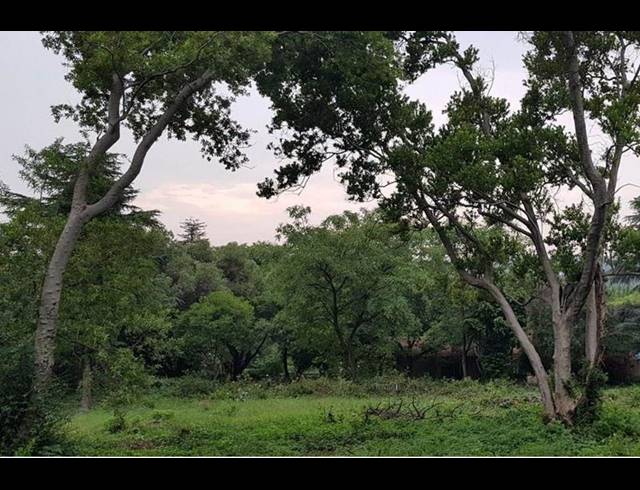 LAND FOR SALE IN FERNDALE